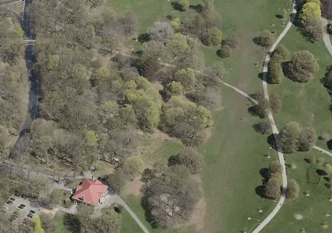 long meadow: long meadow 2